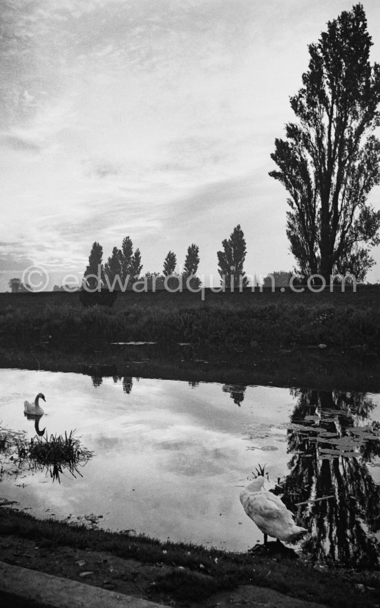 The Grand Canal near Islandbridge. Dublin 1963. Published in Quinn, Edward. James Joyces Dublin. Secker & Warburg, London 1974. - Photo by Edward Quinn