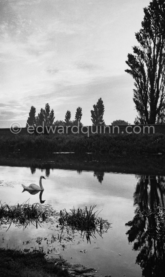 The Grand Canal near Islandbridge. Dublin 1963. Published in Quinn, Edward. James Joyces Dublin. Secker & Warburg, London 1974. - Photo by Edward Quinn