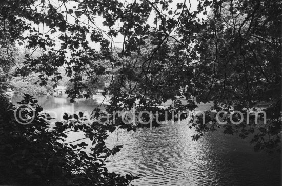 The lake in St Stephen\'s Green. Dublin 1963. - Photo by Edward Quinn