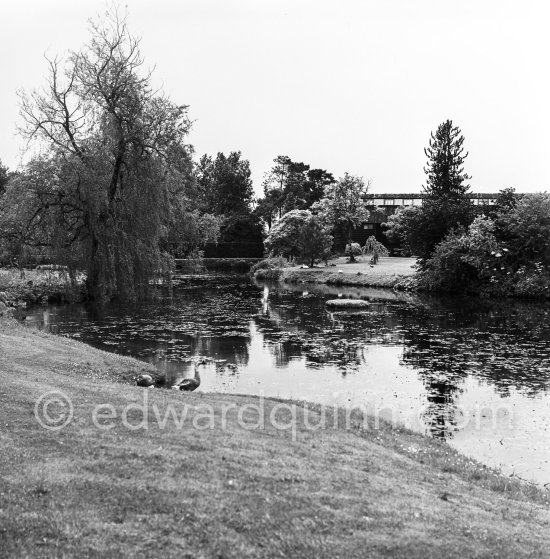 The People\'s Gardens in the Phoenix Park. Dublin 1963. - Photo by Edward Quinn
