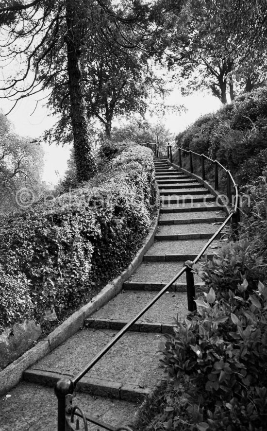Phoenix Park. Dublin 1963. - Photo by Edward Quinn