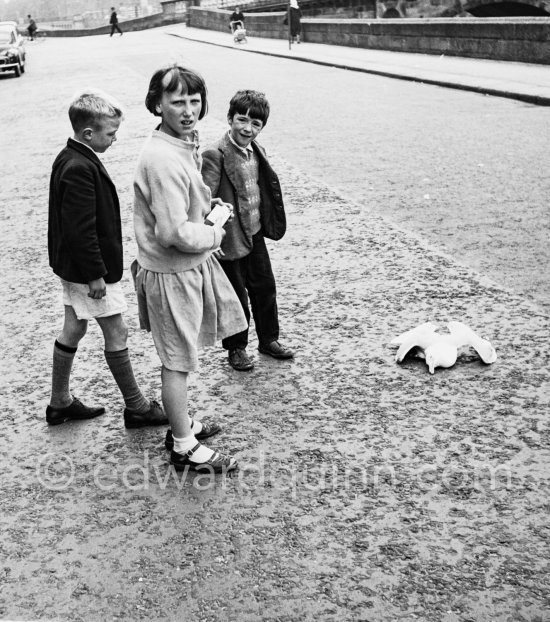 Children with a dead seagull. Dublin 1963. - Photo by Edward Quinn