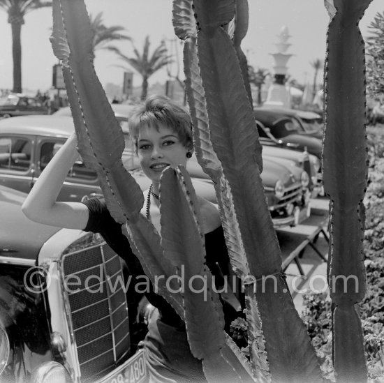 Brigitte Bardot. Cannes Film Festival 1956. Car: Mercedes Benz 300S - Photo by Edward Quinn