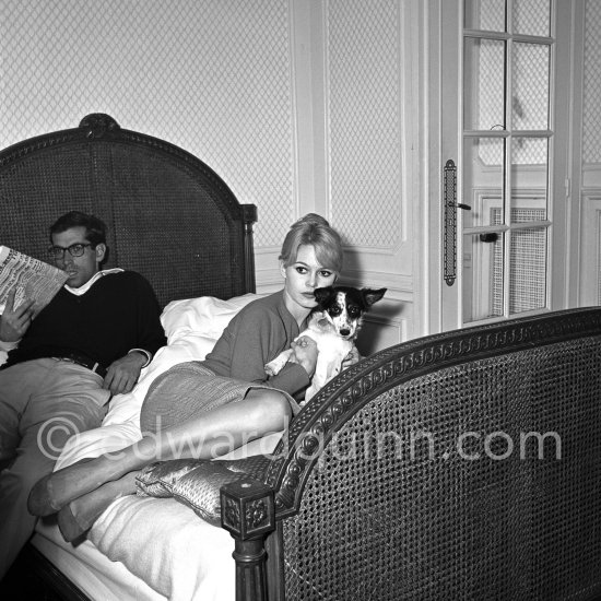 Brigitte Bardot with her mixed breed Guapa at the Hotel Negresco. Nice 1958. - Photo by Edward Quinn