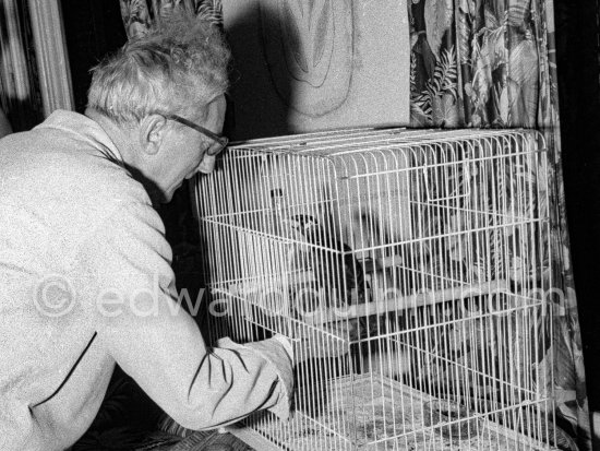 Jean Cocteau, French poet, novelist, painter, and filmmaker showing a bird to a visiting journalist. At friend Francine Weisweiller’s Villa Santo Sospir. Saint-Jean-Cap-Ferrat 1959. - Photo by Edward Quinn