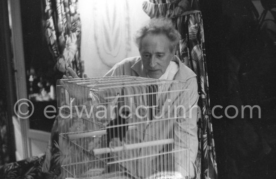 Jean Cocteau with a bird at Francine Weisweiller’s Villa Santo Sospir. Saint-Jean-Cap-Ferrat 1959. - Photo by Edward Quinn