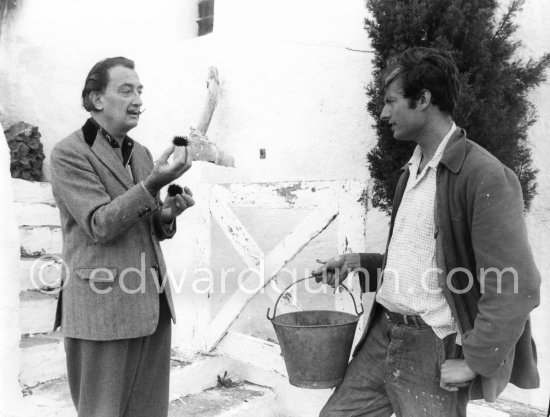 Salador Salvador Dalí and a not yet identified young man with sea urchins Salvador Dalí used for his painting work. Portlligat, Cadaqués,1957. - Photo by Edward Quinn