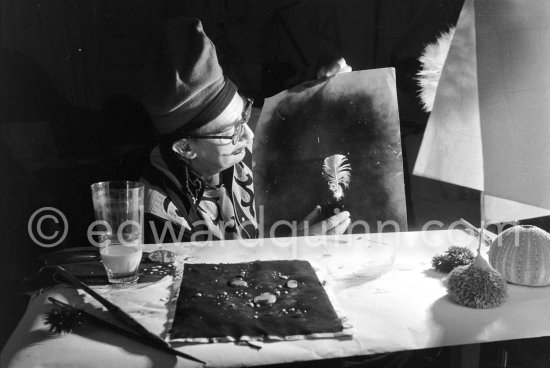 Salvador Dalí works on his experiments with the sea urchin (oursin) holding a swanfeather or a dried flower and moving backwards and forewards thus marking the blackened paper. These experiments he is carrying out at his studio in his Spanish home at Portlligat, Cadaqués, on the Costa Brava 1957. - Photo by Edward Quinn