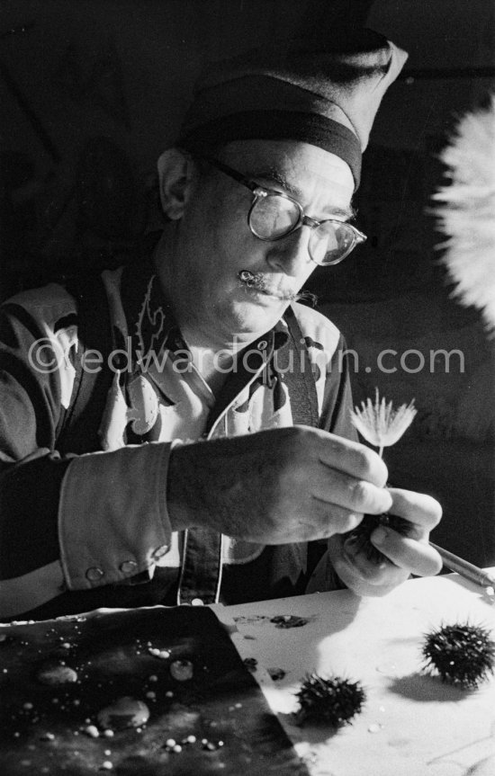 Salvador Dalí works on his experiments with the sea urchin holding a swan feather or a dry flower and moving backwards and forewards thus marking the blackened paper. These experiments he is carrying out at his studio in his Spanish home at Portlligat, Cadaqués on the Costa Brava 1957. - Photo by Edward Quinn