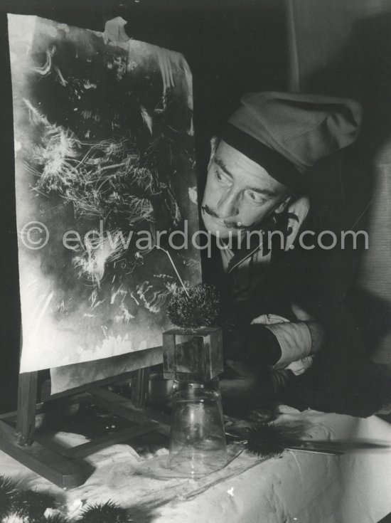 Salvador Dalí works on his experiments with the sea urchin he calls Sputnik holding a dried flower and moving backwards and forewards thus marking the blackened paper. These experiments he is carrying out at his studio in his Spanish home at Portlligat, Cadaqués on the Costa Brava 1957. - Photo by Edward Quinn