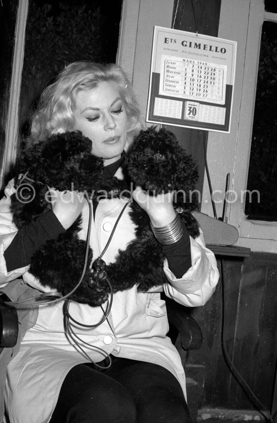 Swedish actress Anita Ekberg buying two Poodles at a kennel. Nice 1960. - Photo by Edward Quinn