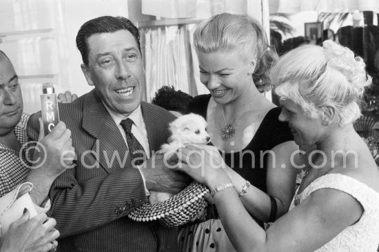 Fernandel and Anne-Marie Mersen, both French comedy stars, admire a lovely white Maltese puppy, carried in some kind of hat. Cannes 1956. - Photo by Edward Quinn