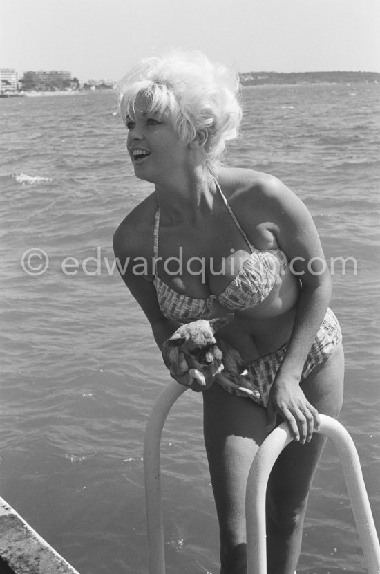 Jayne Mansfield and her hardly recognizable Chihuahua. Cannes 1958. - Photo by Edward Quinn