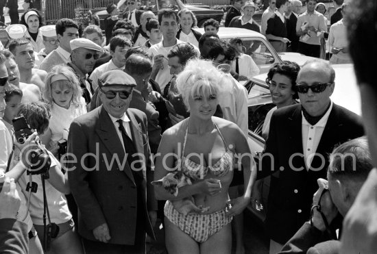Curvy Jane Mansfield and her hardly recognizable Chihuahua. Cannes 1958. - Photo by Edward Quinn
