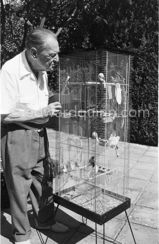 Somerset Maugham and his canaries. Villa Mauresque in Saint-Jean-Cap-Ferrat 1962. - Photo by Edward Quinn
