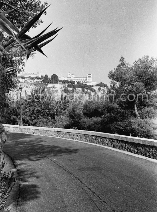 View of Monaco, 1950. - Photo by Edward Quinn