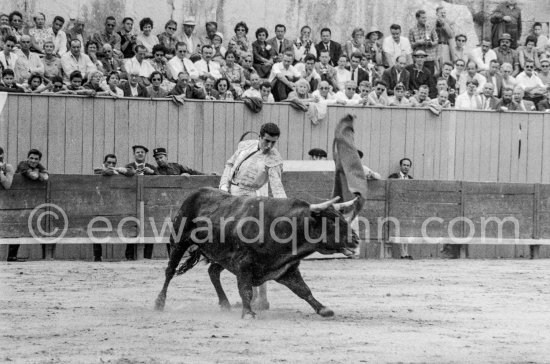Antonio Ordóñez, a leading bullfighter in the 1950\'s and the last survivor of the dueling matadors chronicled by Hemingway in \'\'The Dangerous Summer\'\'. Corrida des vendanges. Arles 1959. A bullfight Picasso attended (see "Picasso"). - Photo by Edward Quinn