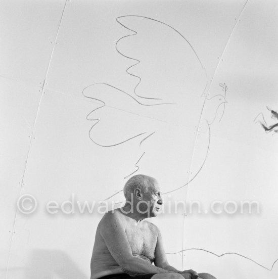Pablo Picasso in front of the "War and Peace study" drawings on the wall of Chapelle de la Paix (or Temple de la Paix) for the documentary film of Luciano Emmer. (The panels of War and Peace of 1952 were away on exhibition). Vallauris 1953. - Photo by Edward Quinn