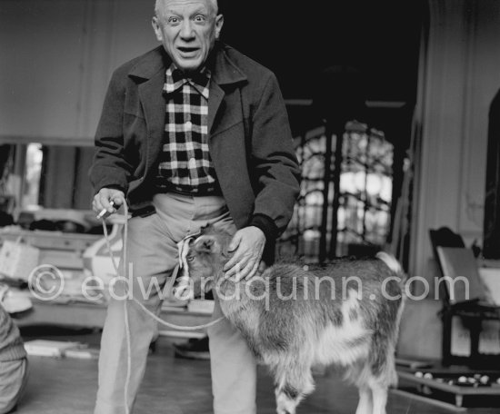 Pablo Picasso with his goat Esmeralda at Christmas 1956. She was a Christmas present from Jacqueline. La Californie, Cannes 1956. - Photo by Edward Quinn