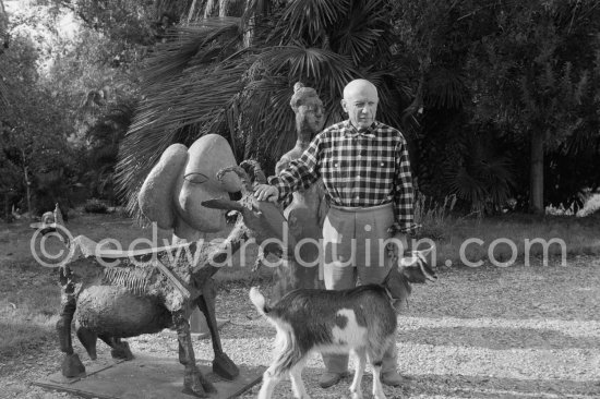 Pablo Picasso at Christmas with Esmeralda, the goat he received from Jacqueline. Sculptures in the garden of La Californie, Cannes 1956. - Photo by Edward Quinn