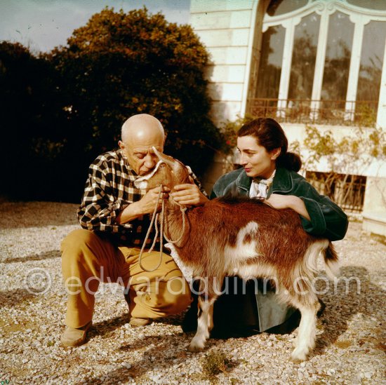 Pablo Picasso and Jacqueline at Christmas with Esmeralda, the goat he received from Jacqueline. La Californie, Cannes 1956. - Photo by Edward Quinn