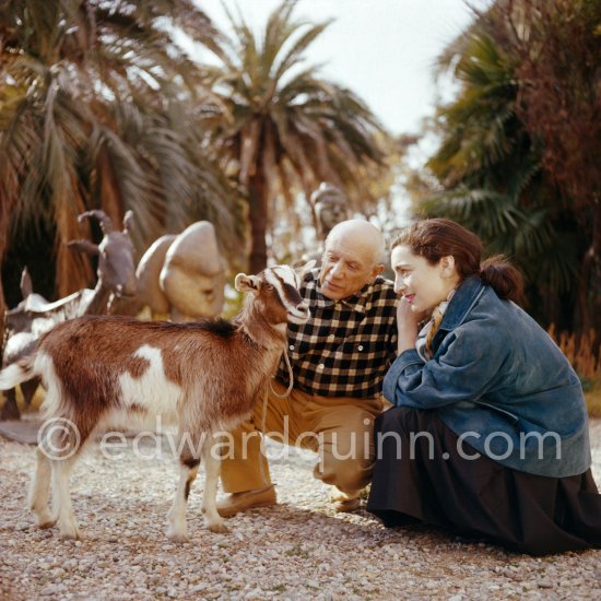 Pablo Picasso and Jacqueline with Esmeralda, the goat he received from Jacqueline. La Californie, Cannes, Christmas 1956. - Photo by Edward Quinn