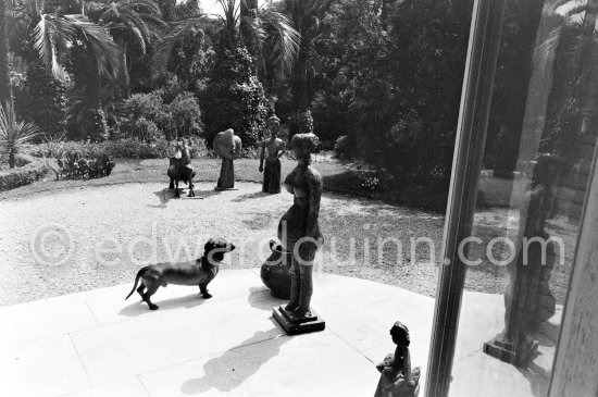Dachshund Lump and sculptures by Pablo Picasso in the garden of La Californie. Cannes 1957. - Photo by Edward Quinn