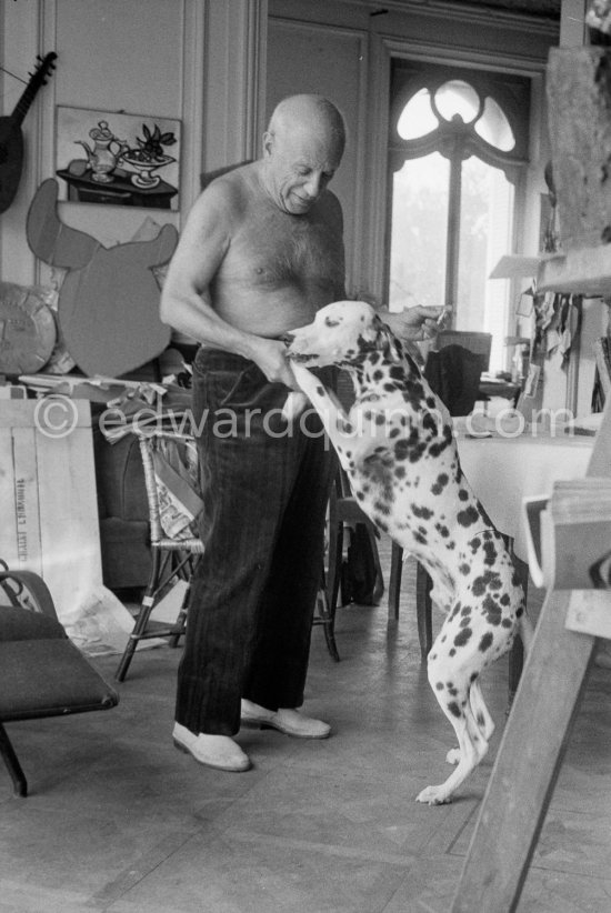 Pablo Picasso and his Dalmatian dog Perro. La Californie, Cannes 1959. - Photo by Edward Quinn