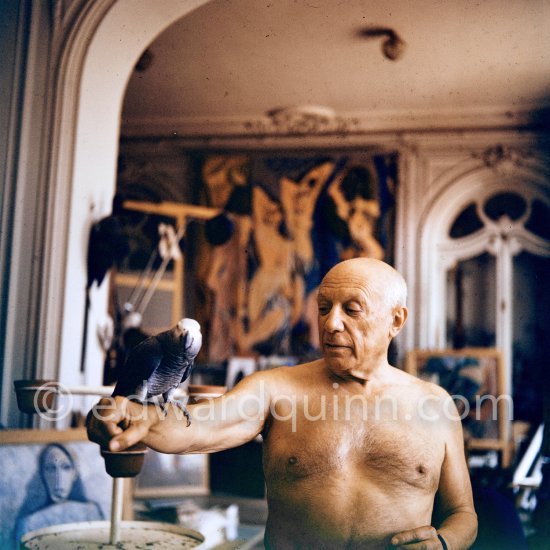 Pablo Picasso with his parrot. La Californie, Cannes 1960. - Photo by Edward Quinn