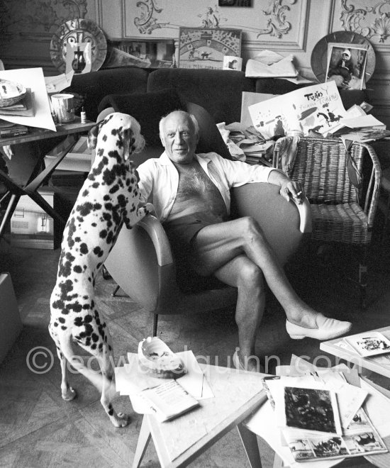 Pablo Picasso with his Dalmatian Perro. La Californie, Cannes 1961. - Photo by Edward Quinn