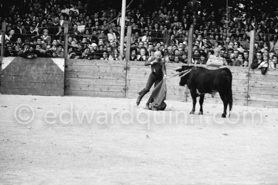 Bullfight put on in Pablo Picasso\'s honor (80. birthday). Bullfighters Domingo Ortega and Luis Miguel Dominguin killed a bull but this was forbidden in France. Pablo Picasso paid the fine of 5000 Francs. Vallauris 29.10.1961. - Photo by Edward Quinn