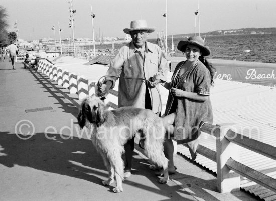 Pablo Picasso and Jacqueline with Afghan dog Kaboul. Cannes 1963. - Photo by Edward Quinn