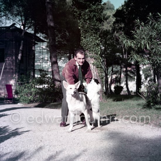 Prince Rainier of Monaco at the time he was still "the Bachelor Prince". Here he is in his bachelor hide-out, Villa Iberia, with his dogs Bella and Whiskey. Saint-Jean-Cap-Ferrat 1954. - Photo by Edward Quinn