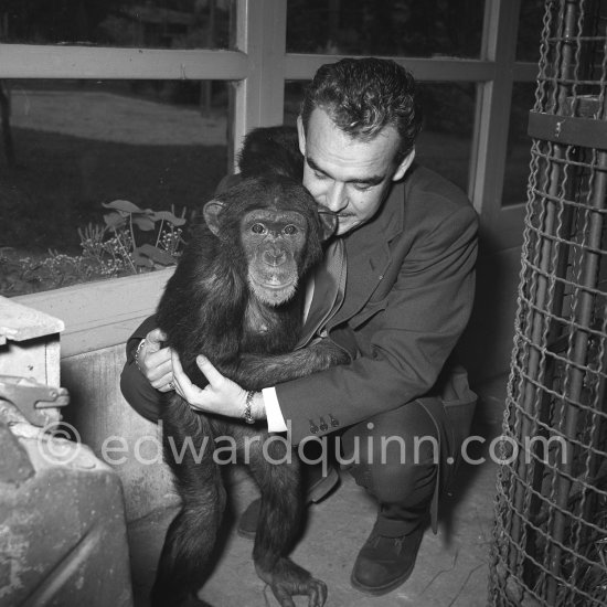 Prince Rainier with 3-year-old chimpanzee Tanagra at his wintering grounds inside a greenhouse at the palace. During summertime, the ape lived outdoors. Monaco-Ville 1954. - Photo by Edward Quinn
