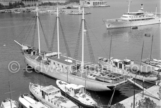 Cargo ship Costa del Sol, which replaced Prince Rainier\'s yacht Deo Juvante II, later converted into luxury boat Deo Juvante III. Onassis\' yacht Christina in the background. Monaco harbor 1959. - Photo by Edward Quinn