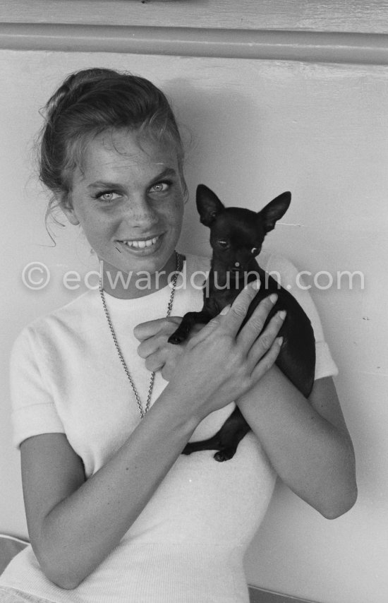 French actress and cover girl Odile Rodin and her Chihuahua Negrita. Cap d’Antibes 1957. - Photo by Edward Quinn