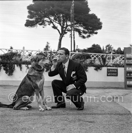 English comedian Norman Wisdom ready to share a treat with his German Shepherd Dog on the legendary Old Course Golf. Cannes 1955. - Photo by Edward Quinn