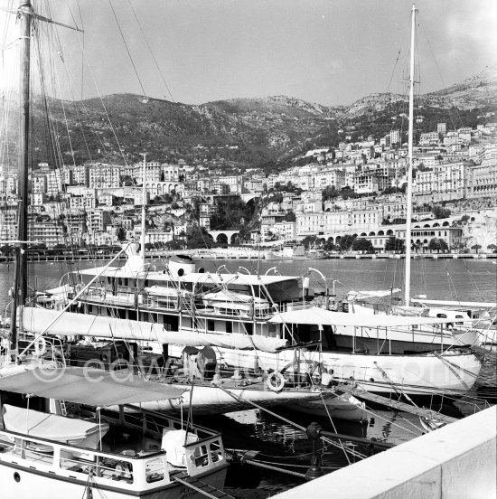 Beside sailing yacht Favorita, Prince Rainier\'s luxury yacht Deo Juvante II anchored in Monaco harbor. In the background Olympic Whaler, the whaling ship of Aristotle Onassis. Foreground: yachts Oostende and La Favorita. Monaco harbor, about 1954. - Photo by Edward Quinn