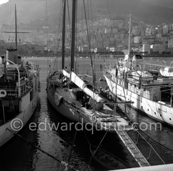 Prince Rainier\'s luxury yacht Deo Juvante II, on the left yacht Narcissus, in the middle Favorita, anchored in Monaco harbor, 1954. - Photo by Edward Quinn
