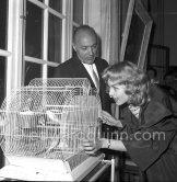 Mylène Demongeot, French actress (Bonjour Tristesse), thrilled to observe some birds in a cage in Cannes during the Film Festival 1957. With French actor Charles Boyer. - Photo by Edward Quinn