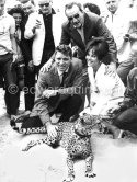 Italian actress Claudia Cardinale, Luchino Visconti (above) and Burt Lancaster. Most attention however was given to the leopard, heraldic animal in the film "Il Gattopardo". Cannes Film Festival in 1963 - Photo by Edward Quinn
