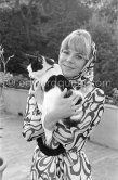 Elégance in black and white: Rachel Roberts, British stage actress and her friendly cat. Rachel was married to actor Rex Harrison. Across from the French Riviera in Portofino 1965. - Photo by Edward Quinn