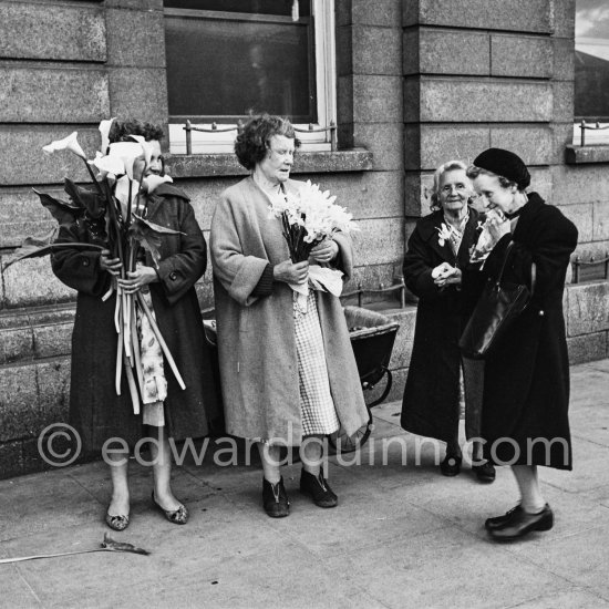 Flowers for St Patrick\'s Day. Arran Quay. Dublin 1963. - Photo by Edward Quinn