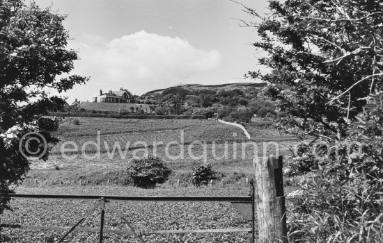 Near Poulaphouca reservoir. Dublin 1963. - Photo by Edward Quinn