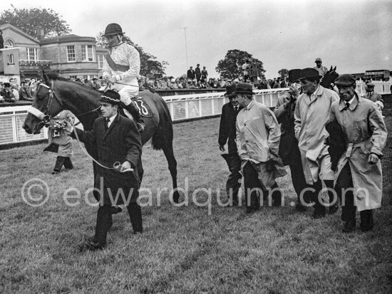 Irish Derby winner "Ragusa" at the Curragh Race Course. Dublin 1963. Published in Quinn, Edward. James Joyces Dublin. Secker & Warburg, London 1974. - Photo by Edward Quinn