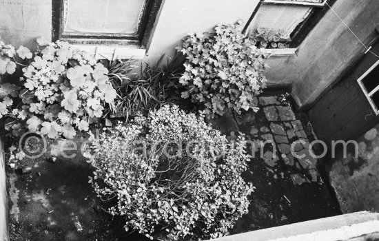 No 7 Eccles Street. Leopold Bloom's house and St George's Church, Ulysses, James Joyce Dublin 1963. - Photo by Edward Quinn