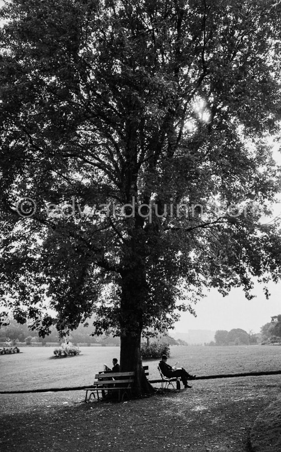 Phoenix Park (?). Dublin 1963. - Photo by Edward Quinn