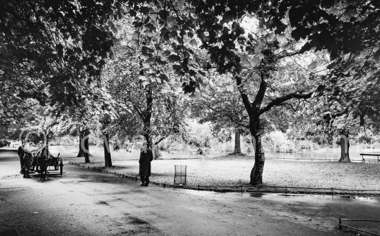 St Stephen's Green. Dublin 1963. - Photo by Edward Quinn