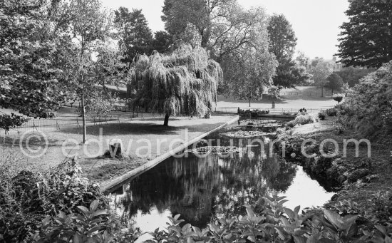 Phoenix Park. Dublin 1963. - Photo by Edward Quinn