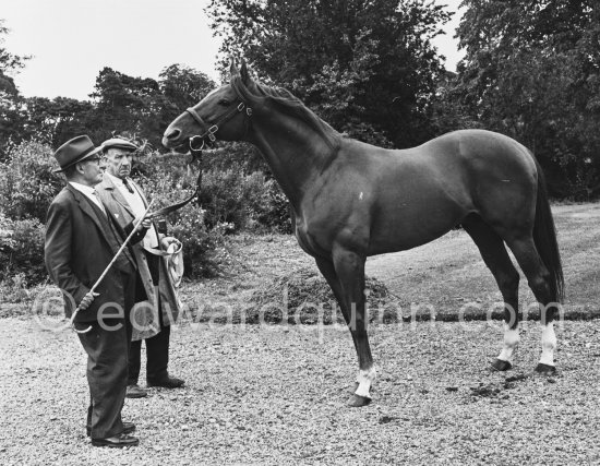 Horse trading. Dublin 1963. - Photo by Edward Quinn